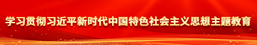 美脚,边亲边操美逼学习贯彻习近平新时代中国特色社会主义思想主题教育